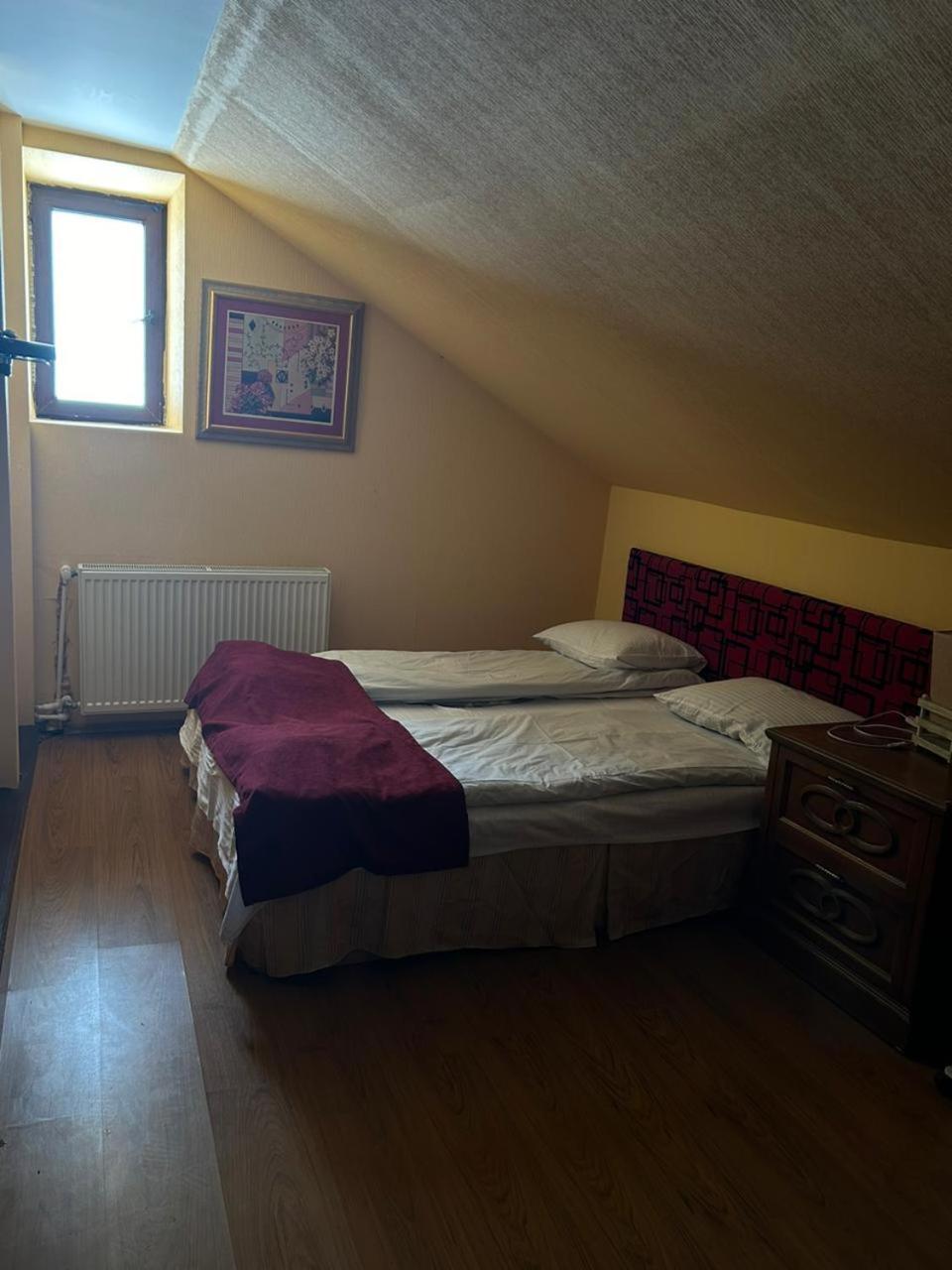 New Shino Gudauri Hotel Bagian luar foto
