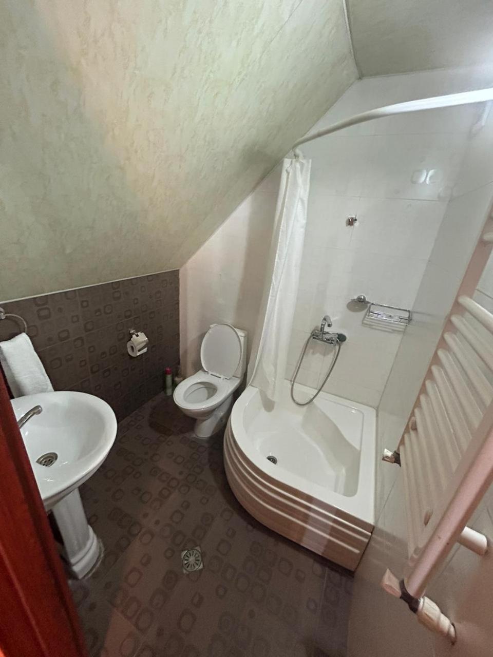 New Shino Gudauri Hotel Bagian luar foto
